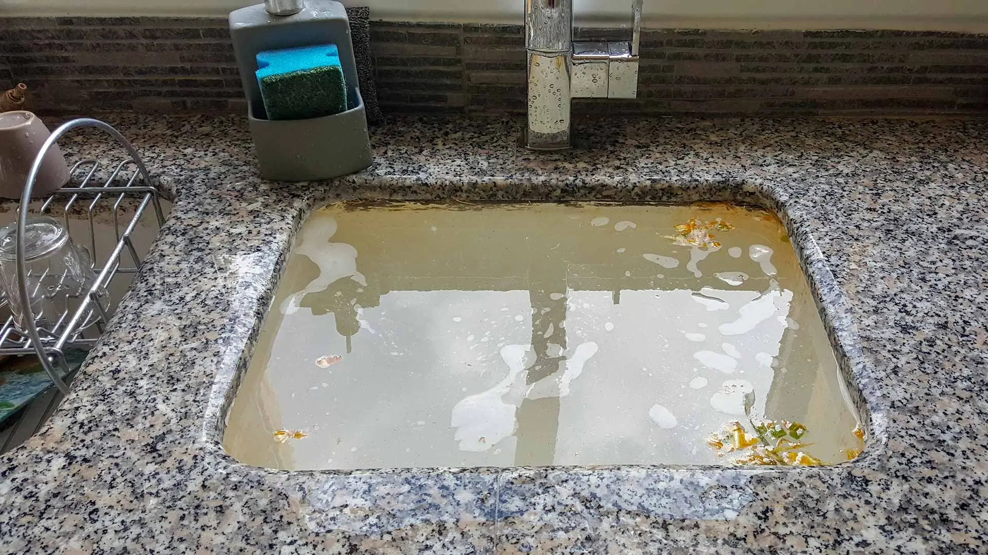 Clogged kitchen sink drain at a Wesley Chapel, FL home.