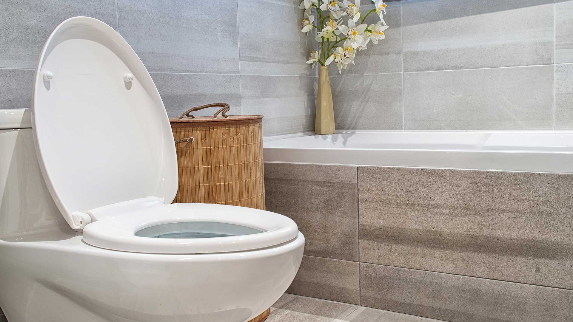 5 Types of Toilets & What Type You Should Buy | True Plumbers & AC Blog