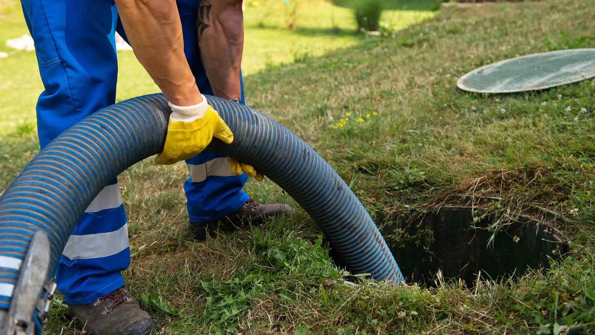 Why Your Drain Field Needs Maintenance