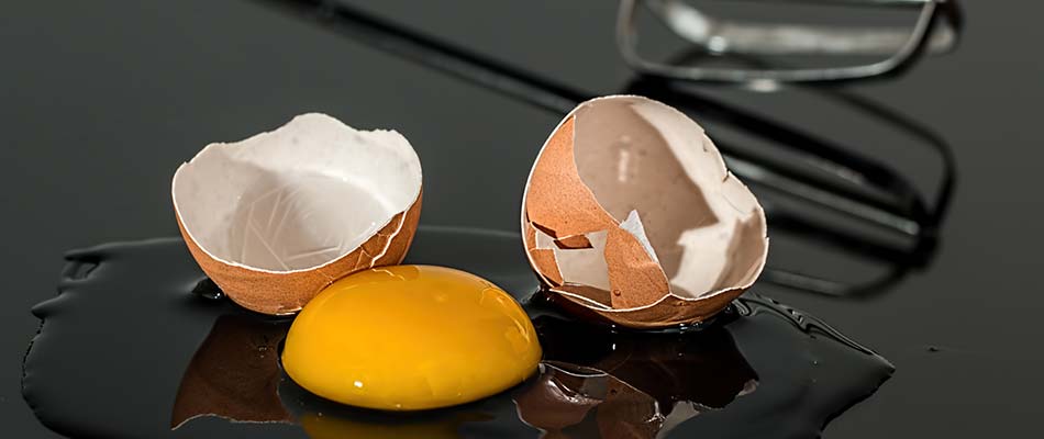Broken egg shells should not be put in a Plant City garbage disposal.
