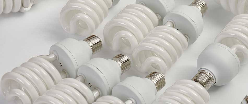 CFL bulbs for use near Lakeland, FL.