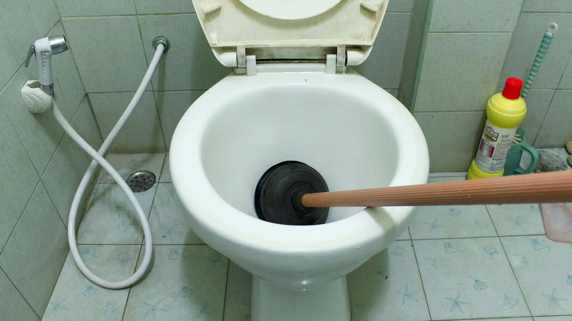 What Should You Do If Your Toilet Overflows?