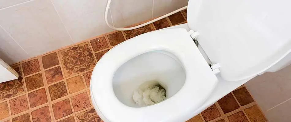 Clogged toilet in a home bathroom in Wesley Chapel, FL.