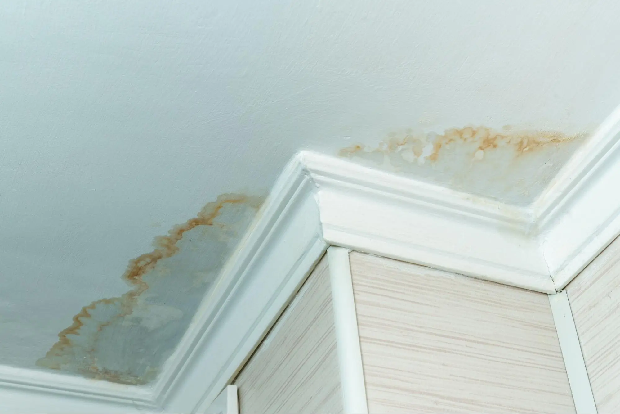 Signs That You May Have a Water Leak