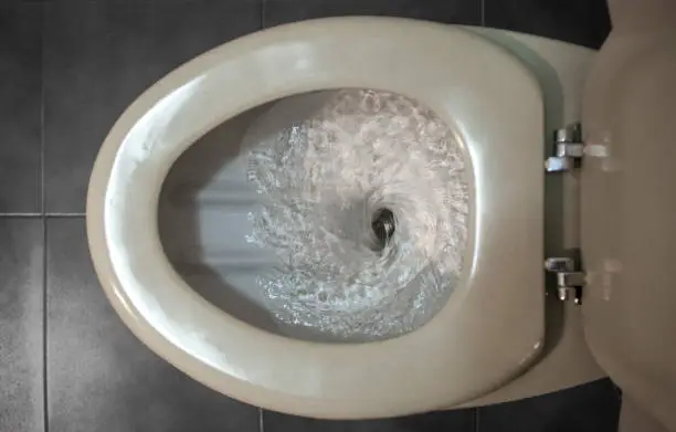 Does a Water-saving Toilet Really Help Save Money
