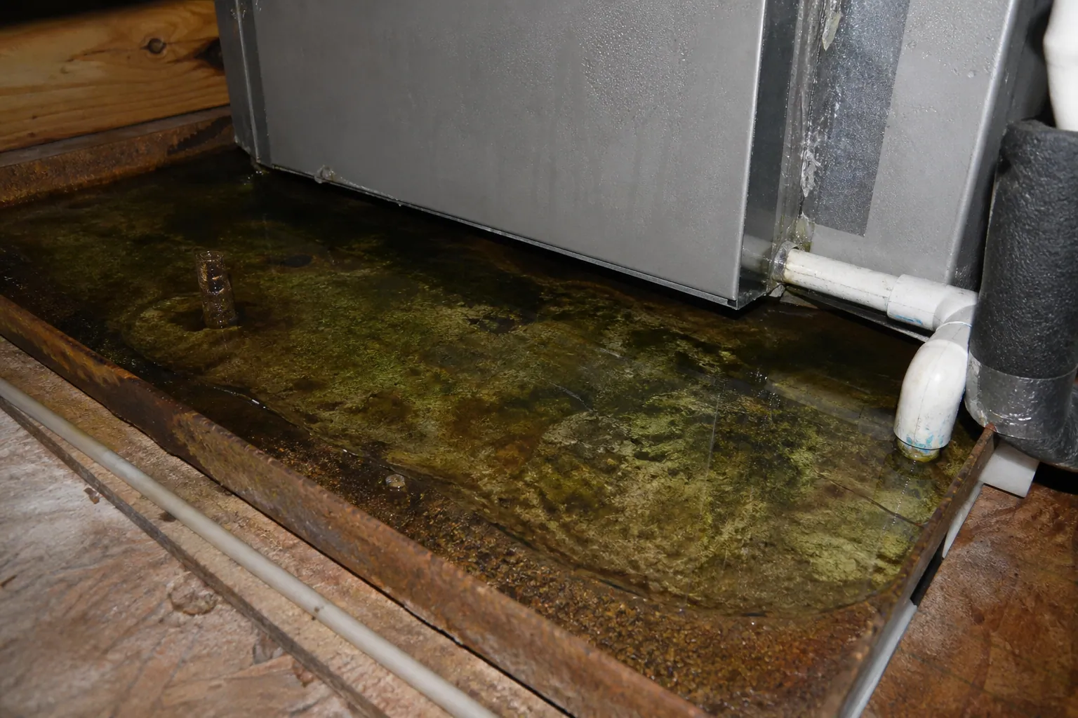 Clogged AC condensate drain pan in a Lakeland attic, the most common no-cool repair