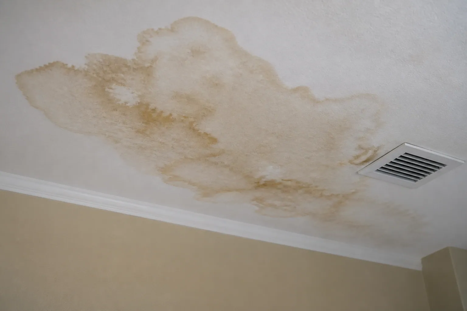 Ceiling water stain from a hidden plumbing leak in a Lakeland home